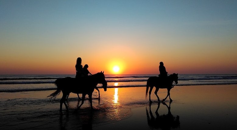 Equine Assisted Gestalt Beachside retreat