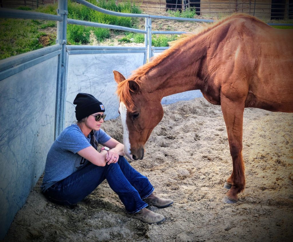 equine gestalt counseling by Valor Through Gestalt